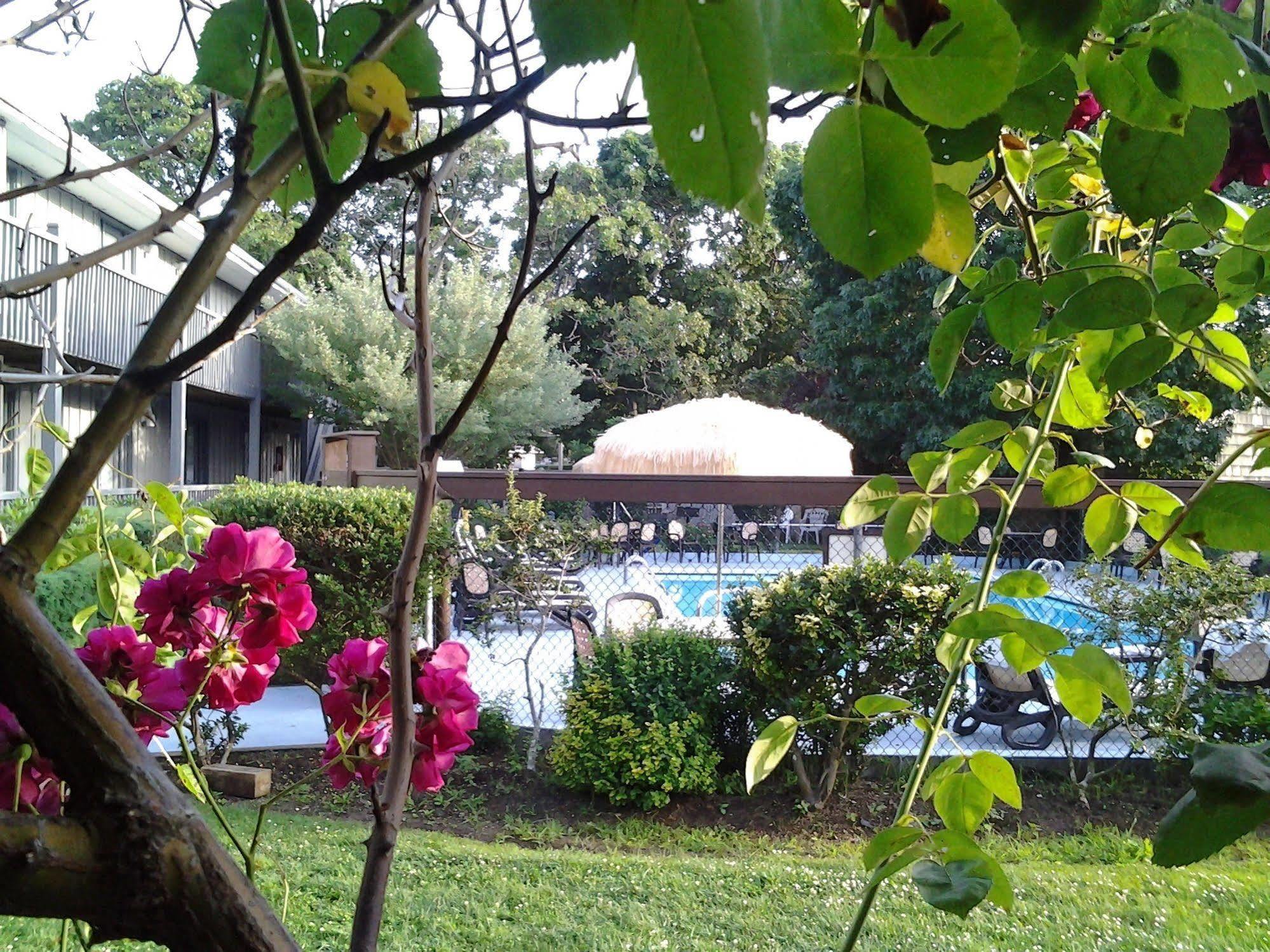 Kenny'S Tipperary Inn Монток Екстер'єр фото